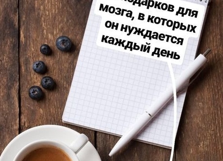 10 подарков для мозга, в которых он нуждается каждый день